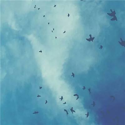 冰雪大作战官方下载